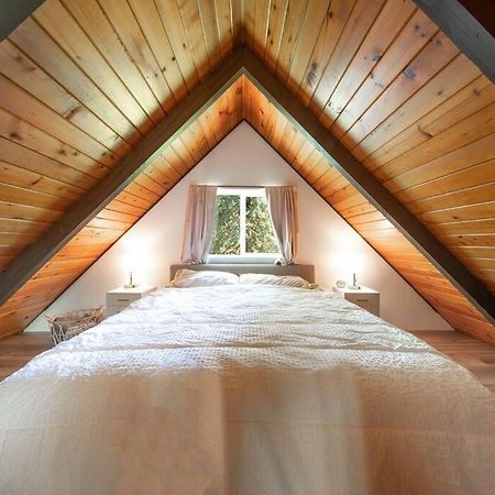 אשפורד R & R Chalet At Mt. Rainier מראה חיצוני תמונה
