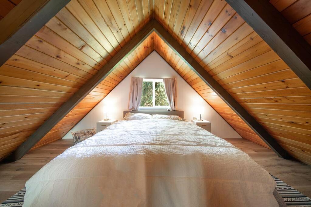 אשפורד R & R Chalet At Mt. Rainier מראה חיצוני תמונה