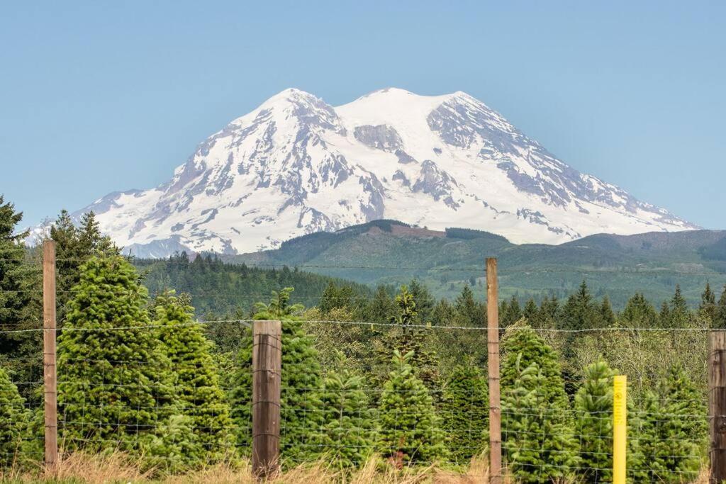 אשפורד R & R Chalet At Mt. Rainier מראה חיצוני תמונה